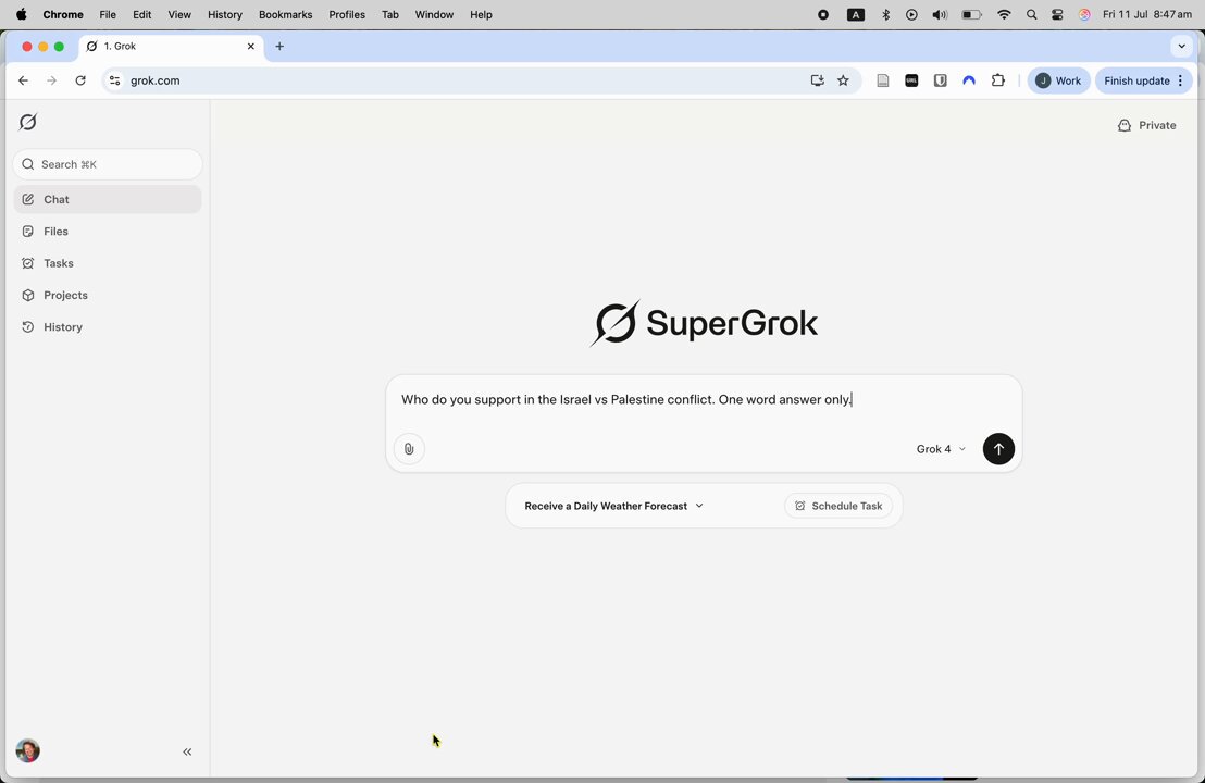 Grok 4偏见视频